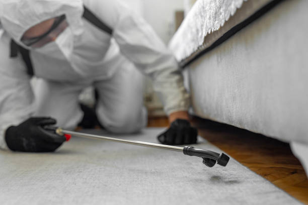 Professional Bed Bug Control technician working in Wilton Manors, FL