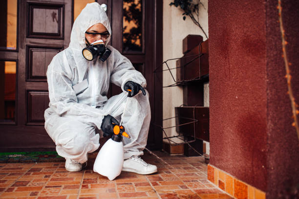 Reliable Bed Bug Control contractor in Wilton Manors, FL by Nex Pest Control