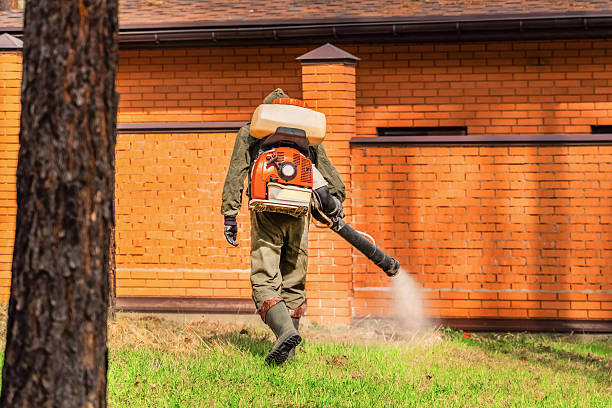 Trusted Fumigation Services service in Wilton Manors, FL - Nex Pest Control